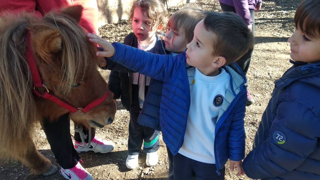 Colegio Madre Alberta 3 Anos C D Y E Granja Jovent