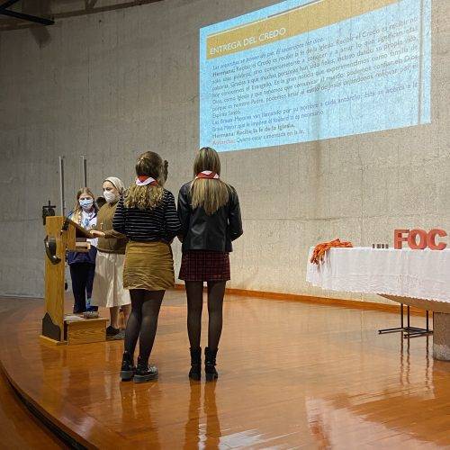 FOC-Palma-CELEBR-20